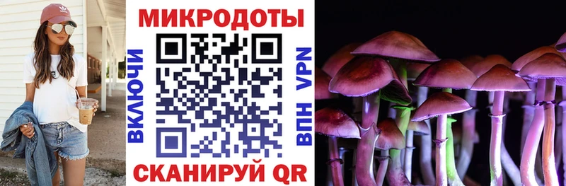 Псилоцибиновые грибы Psilocybe купить наркотик Армянск
